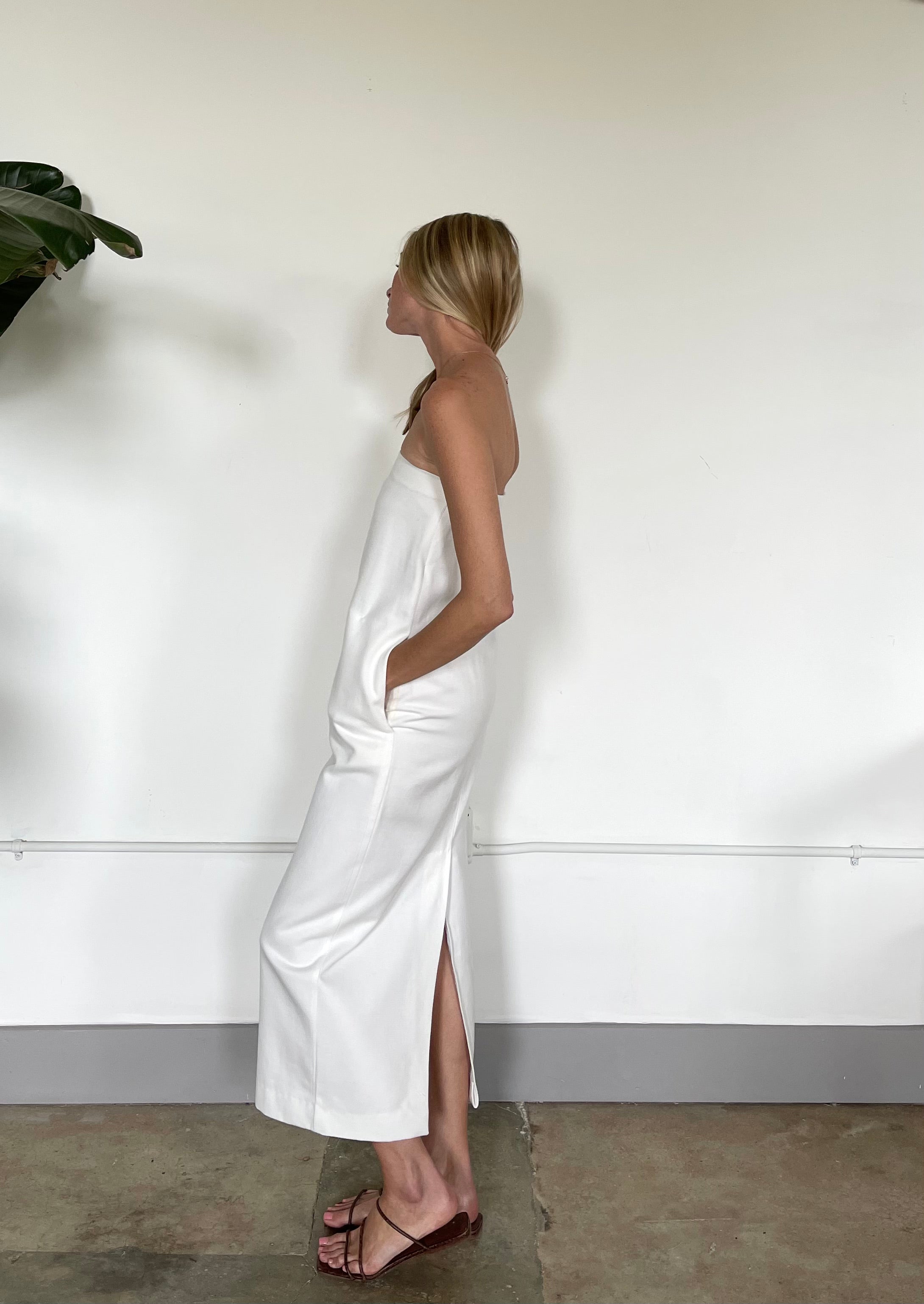 Regenerative Organic Cotton Strapless Dress – VINCENT JAMES